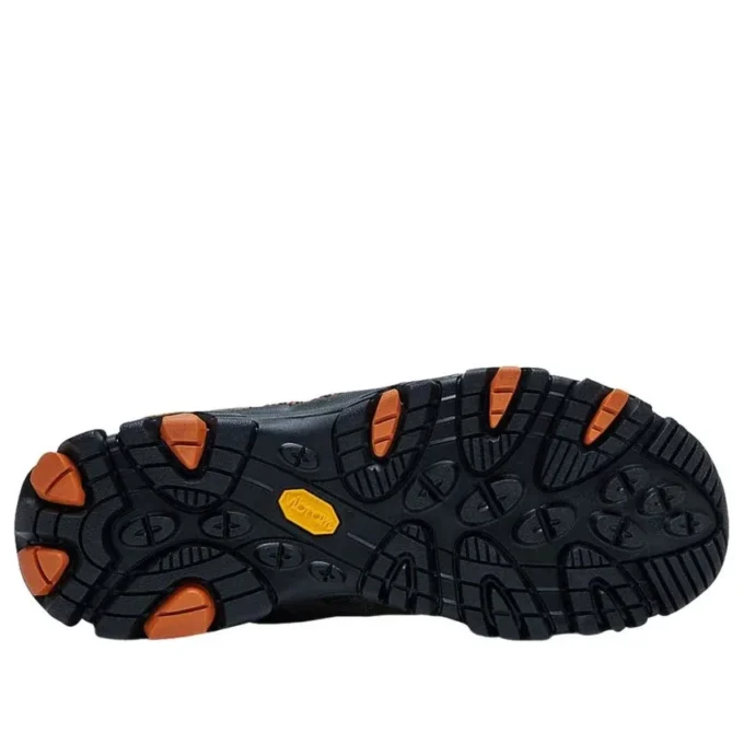 Moab 3 « Olive »